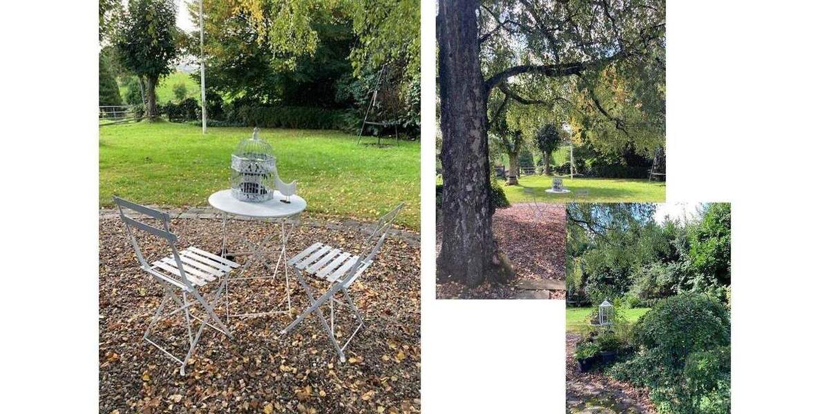 Bauernhaus, Landhaus Much Wellerscheid - 9 Zimmer, 222 m&sup2;, 517.000&euro; | Angebot:25757026