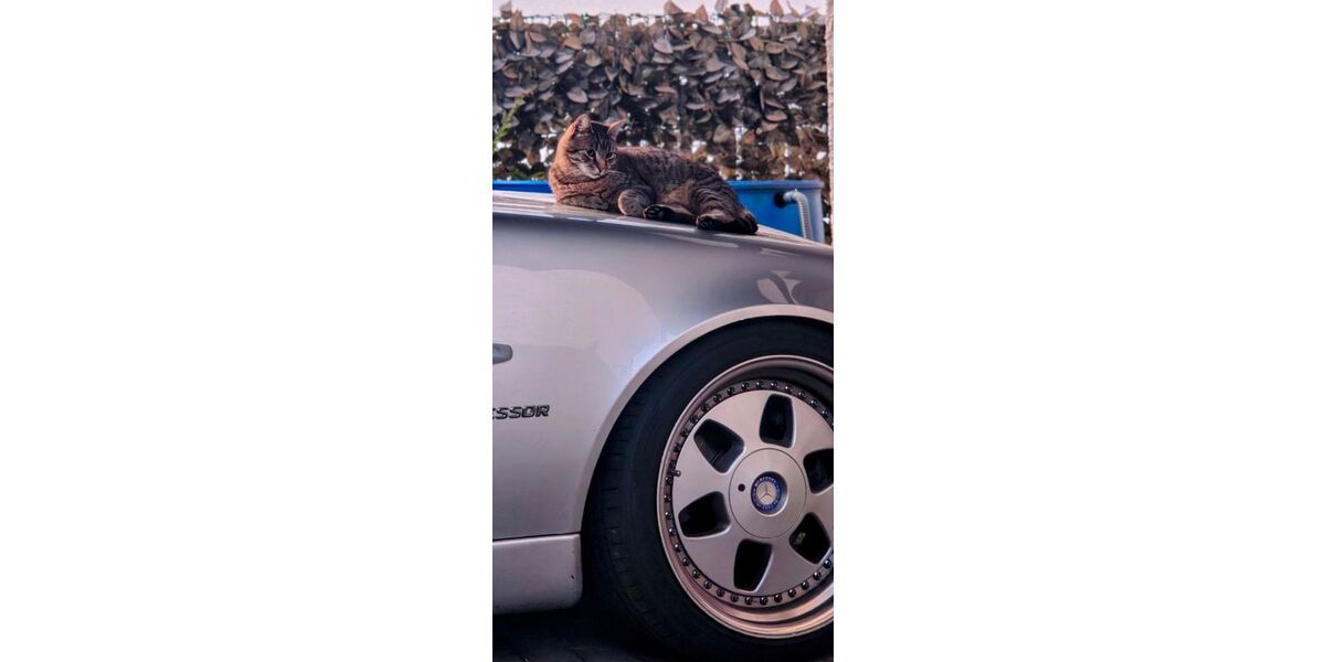 Mercedes-Benz SLK 230 102.000 km 5.990 &euro; Lindlar 51789